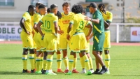 Illustration : "FC Nantes : Une bonne surprise pour la suite de la saison"