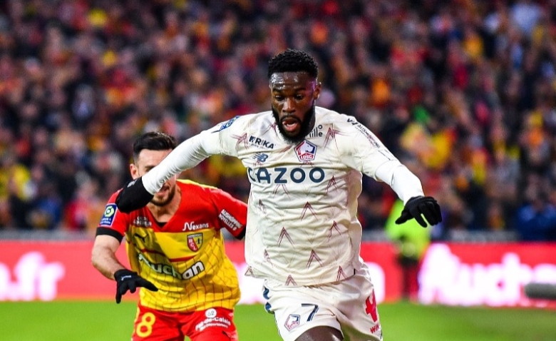Illustration : "LOSC : Les Dogues font mieux que deux cadors européens "