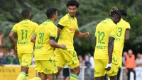 Illustration : "Mercato Nantes : Un Canari vers un transfert bénéfique"