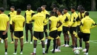 Illustration : "Mercato FC Nantes : Un pilier du club sur le départ ?"