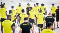 Illustration : "Mercato Nantes : Deux Canaris convoités à l'étranger !"
