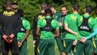 Illustration : "FC Nantes : Une très mauvaise nouvelle se confirme "