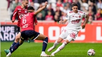 Illustration : "LOSC : Un Dogue crève l’écran contre Brest !"