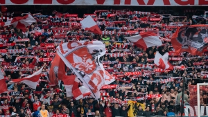 Illustration : LOSC : Deux excellentes nouvelles en marge de la trêve de novembre