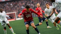 Illustration : "LOSC Lille - FC Lorient : Un fait de jeu très favorable aux Lillois "