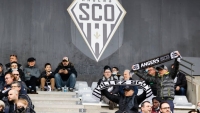 Illustration : "Angers SCO : Une bonne nouvelle pour le club malgré les deux défaites subies ! "