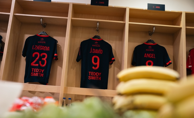 Illustration : "LOSC : déception pour les Dogues avant la dernière journée"
