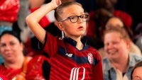 Illustration : "LOSC : Déjà un gros coup dur pour la Ligue des Champions ! "