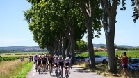 Illustration : "Tour de France 2025 : Un coéquipier de Pogacar pète un plomb dans l'ascension du Mont Ventoux"