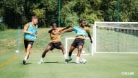 Illustration : "RC Lens : Deux nouvelles arrivées prévues dans le Nord "