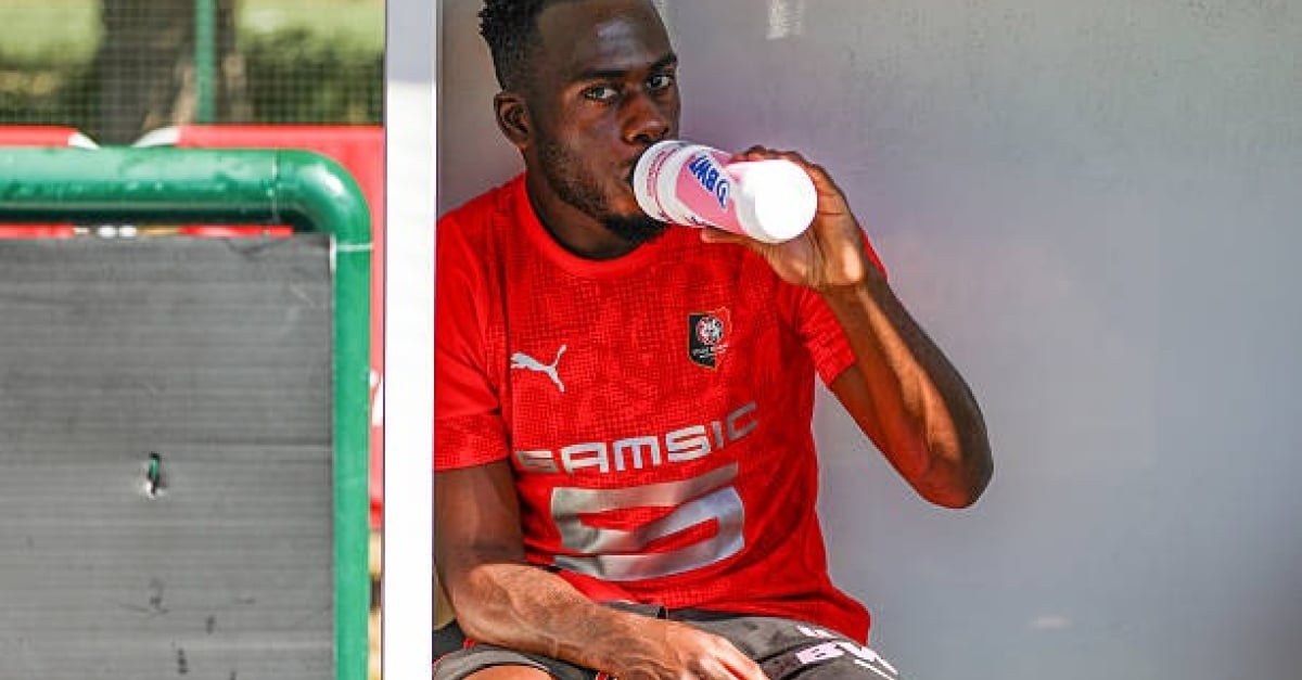 Mercato Rennes : Un nouveau nom intègre la short list de Désiré pour la succession de Kalimuendo !