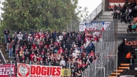 Illustration : "Mercato LOSC : Un Dogue s'envole vers la Turquie après la correction infligée à Lorient"