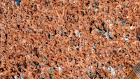 Illustration : "OM : Un gardien inédit pourrait faire ses grands débuts lors du match face à Lorient"
