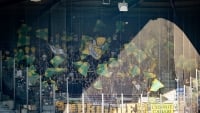 Illustration : "FC Nantes : Un cadre sauve l’équipe mais lance un message fort après Nice"