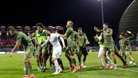Illustration : "ASSE : Horneland fait l'éloge d'un Stéphanois attendu au tournant cette saison !"