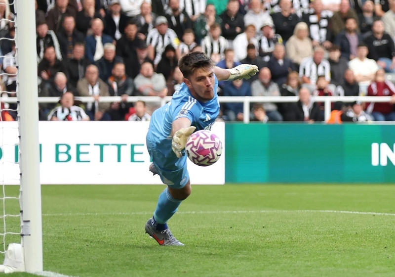 Illustration : Pronostic Brighton-Newcastle (8ème journée de Premier League)