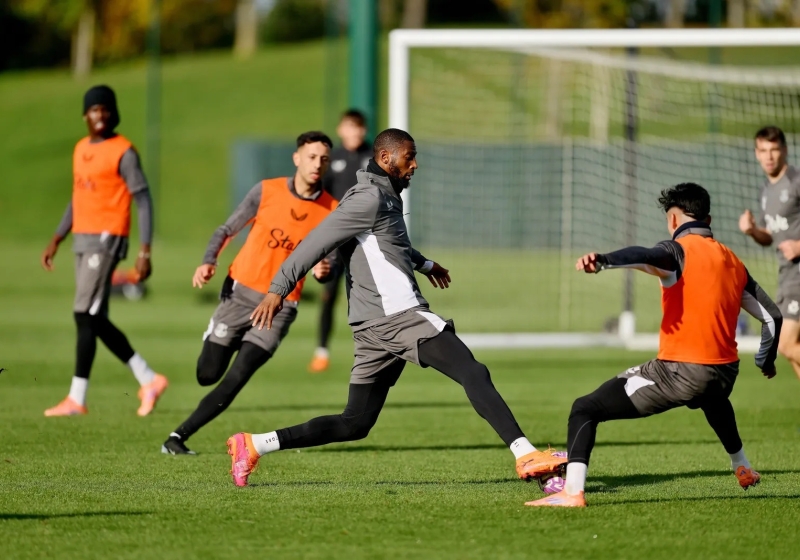 Illustration : Pronostic Sunderland-Everton (10 &egrave;me journ&eacute;e de Premier League)