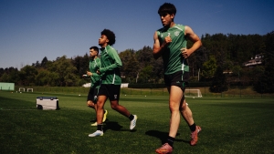 Illustration : ASSE : Des coups durs en cascade et plusieurs retours avant Troyes